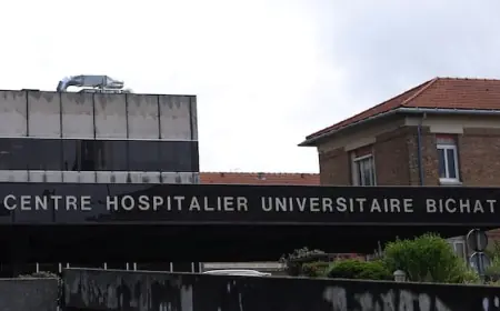 French woman with hantavirus has severe form of disease, is in 'final stage of supportive care'