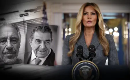 Did Jeffrey Epstein really introduce Donald Trump and Melania?
