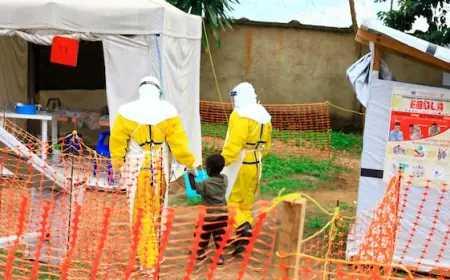 New Ebola outbreak confirmed in remote Congo province, with 65 deaths recorded