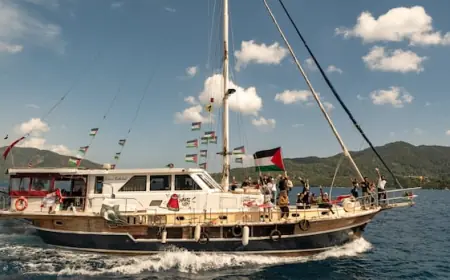 Canadians among activists detained on Gaza flotilla after Israeli interception