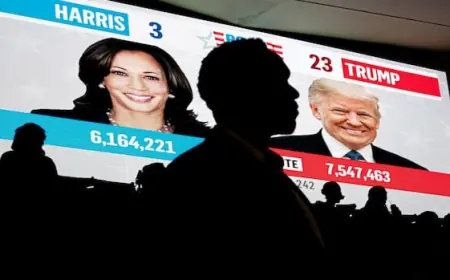 Democrats' autopsy of 2024 U.S. election blames Harris and 'identity politics' for loss