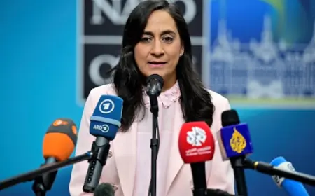 Foreign affairs minister condemns 'appalling abuse' of Canadian flotilla activists detained in Israel