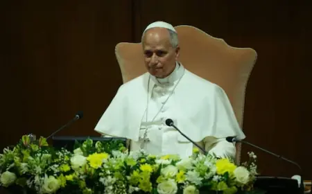 Pope Leo warns that AI challenges must be confronted with regulation, transparency in his 1st encyclical