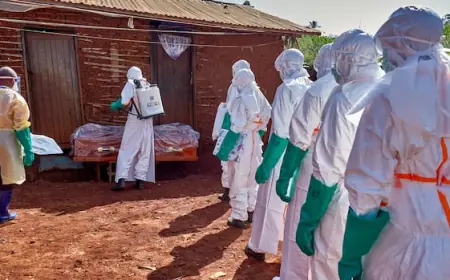 Canada clamping down on travel, immigration from central Africa amid Ebola outbreak