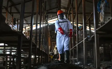 Uganda orders 'immediate' closure of border with Congo as rare Ebola cases surge