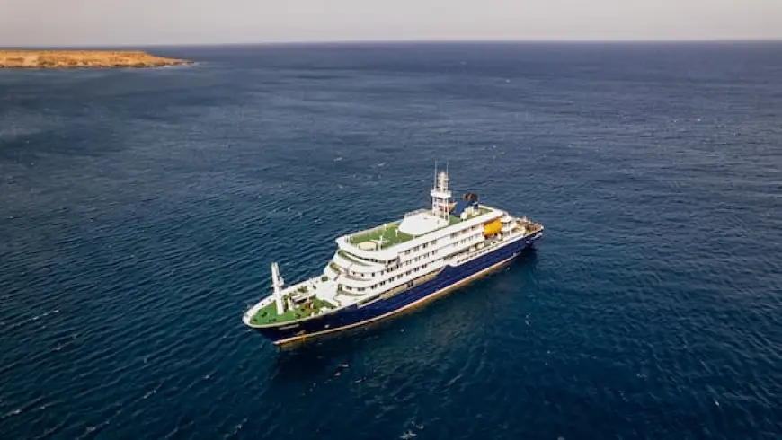 Suspected hantavirus outbreak on cruise ship kills 3, World Health Organization says