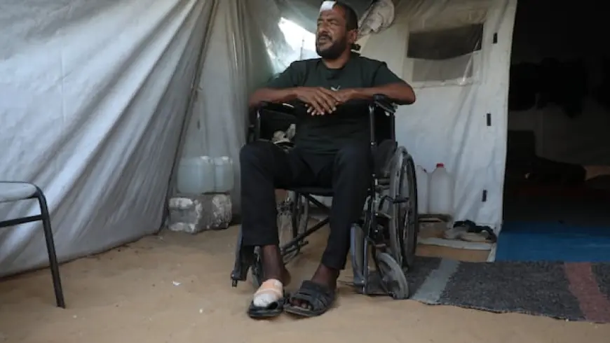'The rats are like a storm': Palestinians seeking refuge in rubble struggle with rodent infestations