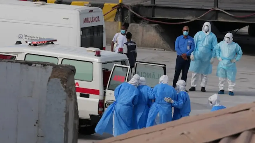 WHO confirms Andes strain of hantavirus in cruise ship passengers, with 3 transferred from ship for treatment