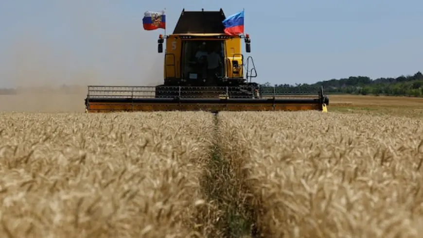 Grain dispute reveals bad blood between Ukraine and Israel
