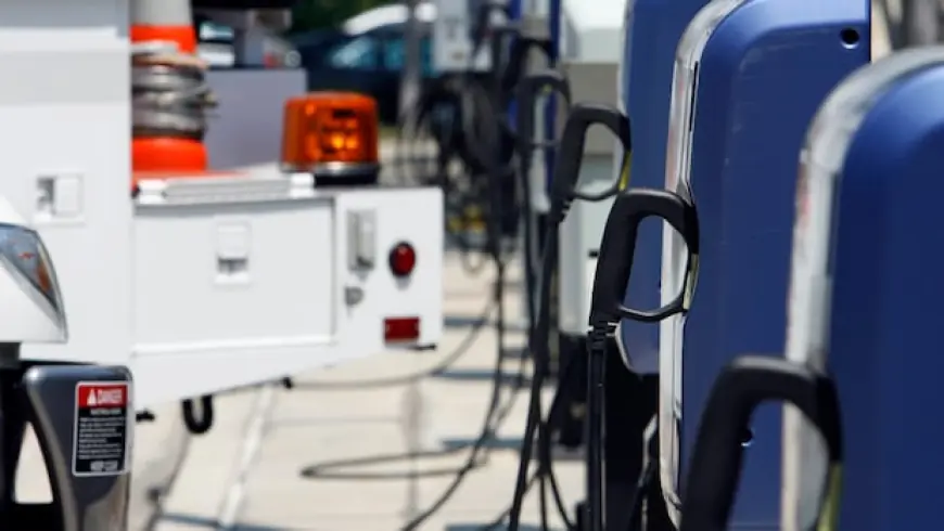 U.S. hybrid-car sales soar, along with gas prices