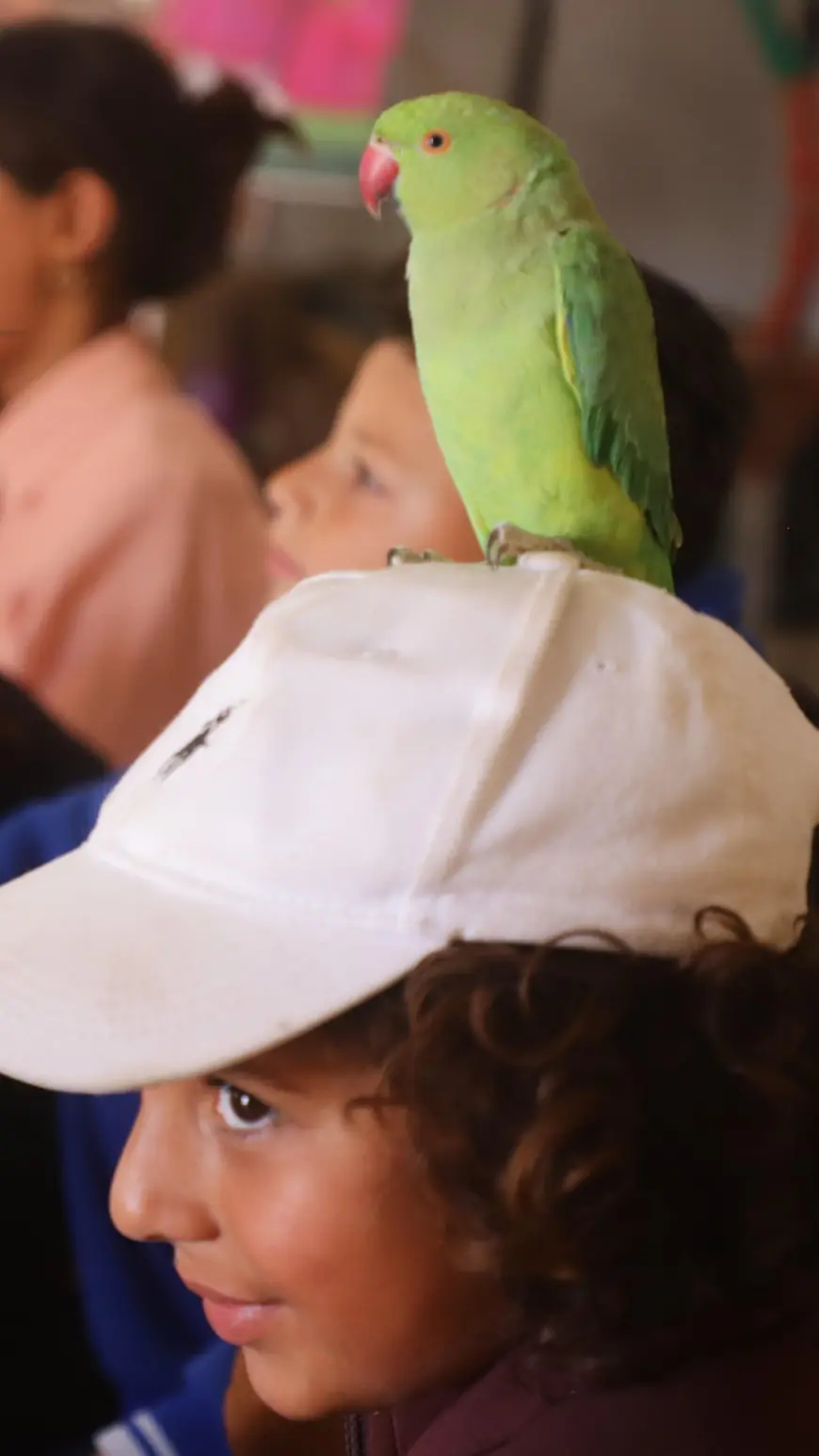 Animal therapy for Gaza’s displaced children