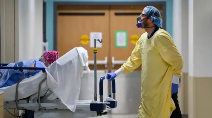 At 'crucial' moment for pandemic preparedness, experts say world isn't ready