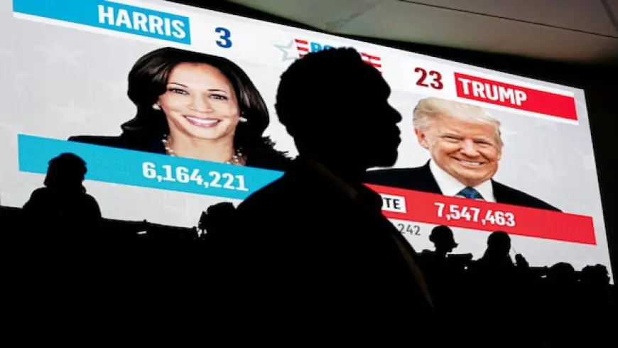 Democrats' autopsy of 2024 U.S. election blames Harris and 'identity politics' for loss