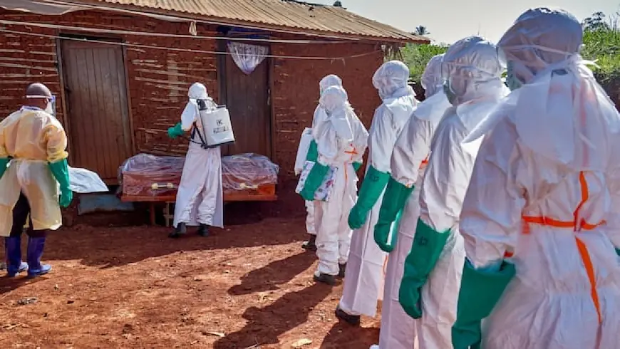 Canada clamping down on travel, immigration from central Africa amid Ebola outbreak