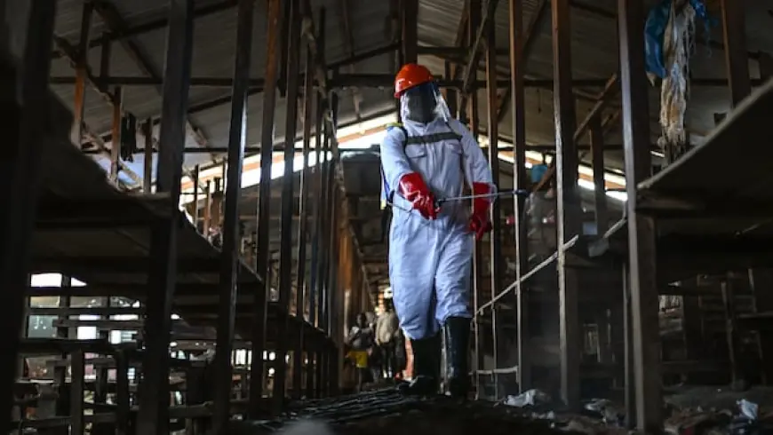Uganda orders 'immediate' closure of border with Congo as rare Ebola cases surge