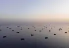 Iranian drone attack hits Kuwait airport, causing injuries
