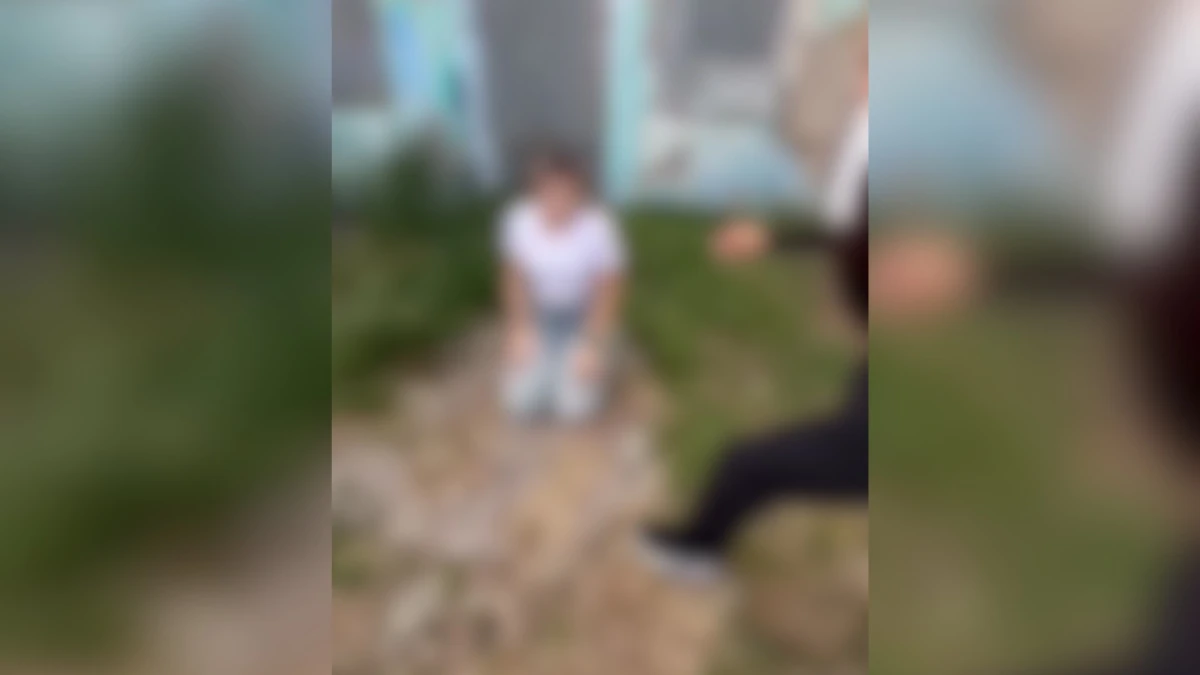 Două fete din Mangalia, una din ele fiind minoră, au fost arestate după ce au bătut o altă minoră de 15 ani pentru un trend de pe rețelele de socializare