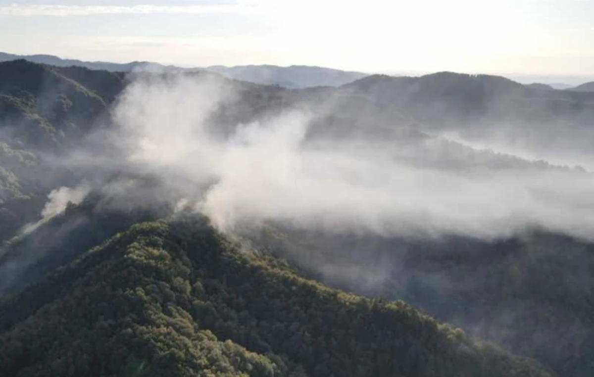 Incendiu de pădure la Băile Olăneşti  / Suprafaţa afectată a ajuns la 34 de hectare / Pădurea arde de cinci zile