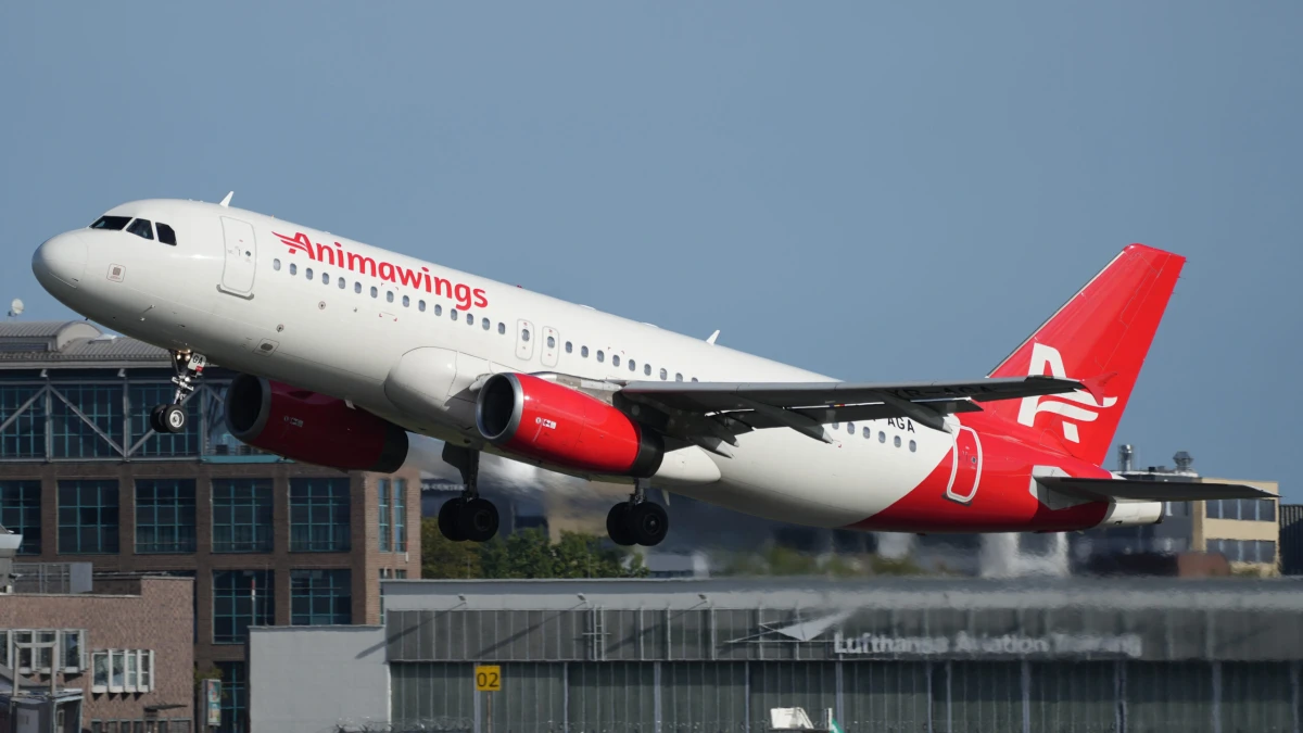 Aeroportul Cluj: AnimaWings a anulat zborurile spre Viena și Frankfurt, din motive comerciale / BoardingPass: Căutați cât mai rapid bilete de avion pe zboruri alternative. n acest moment e neclar câte rute vor fi afectate