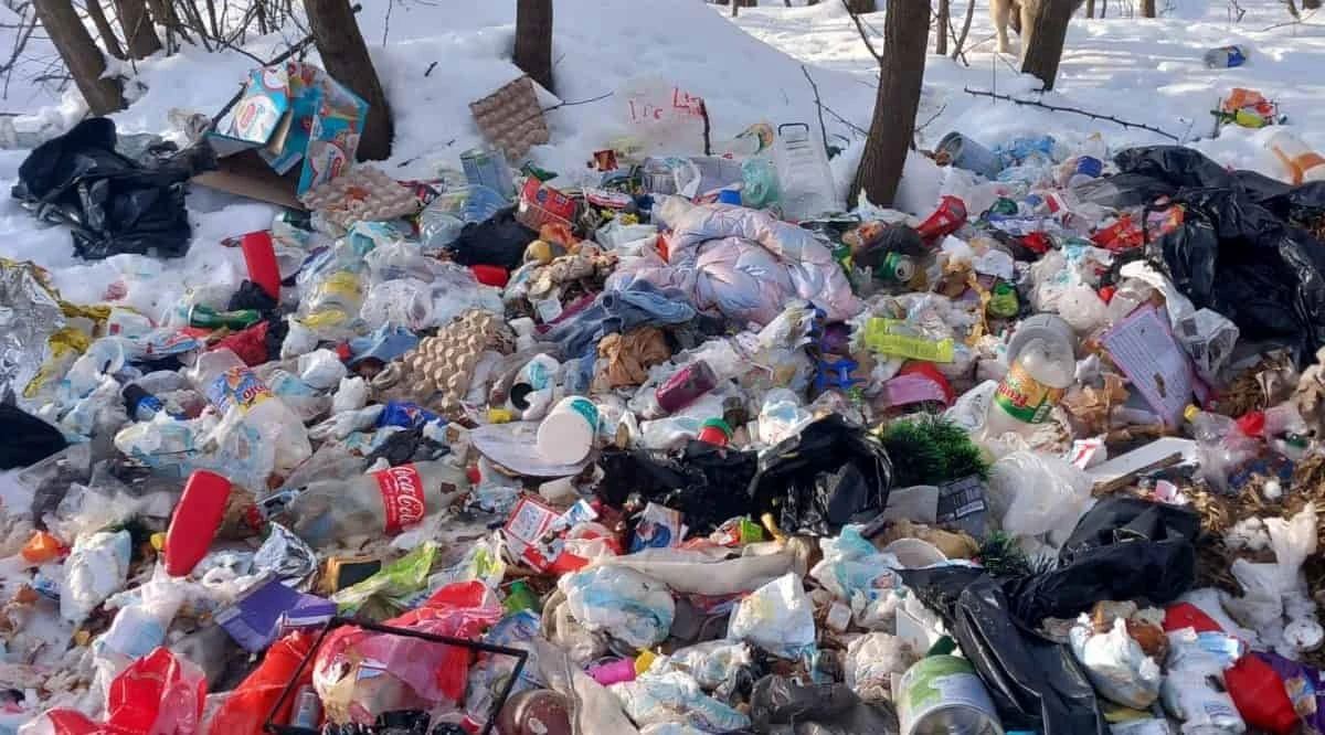 Uniunea Europeană generează anual peste 58 de milioane de tone de deşeuri alimentare, potrivit datelor Eurostat / Mai mult de jumătate din această cantitate provine din gospodării
