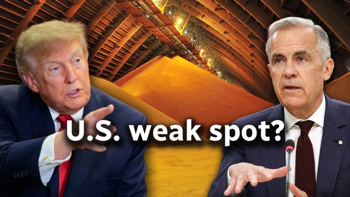 Why Trump’s potash threat against Canada isn’t as bizarre as it sounds | About That