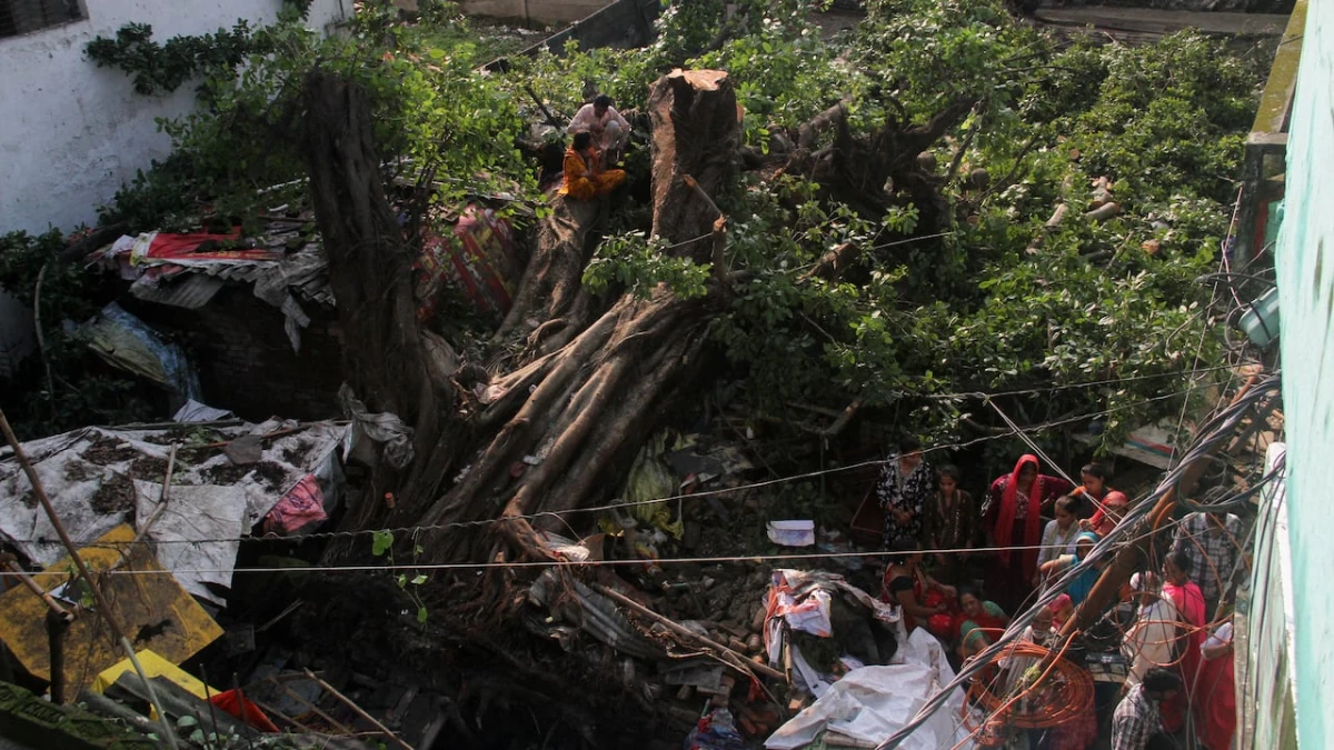 Heavy rain, flooding kill at least 62 in northern India