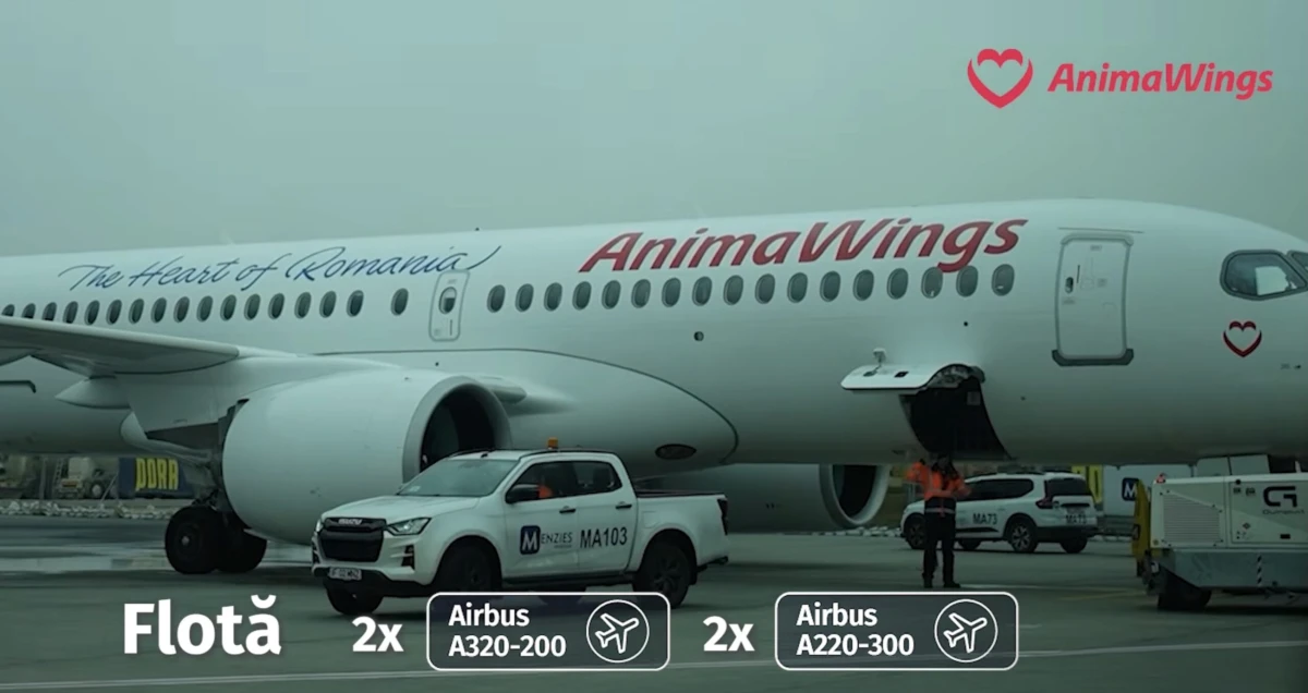 AnimaWings neagă că ar avea probleme cu plata leasingului la aeronavele A220-300: „Decizia de grounding este dată de AnimaWings”