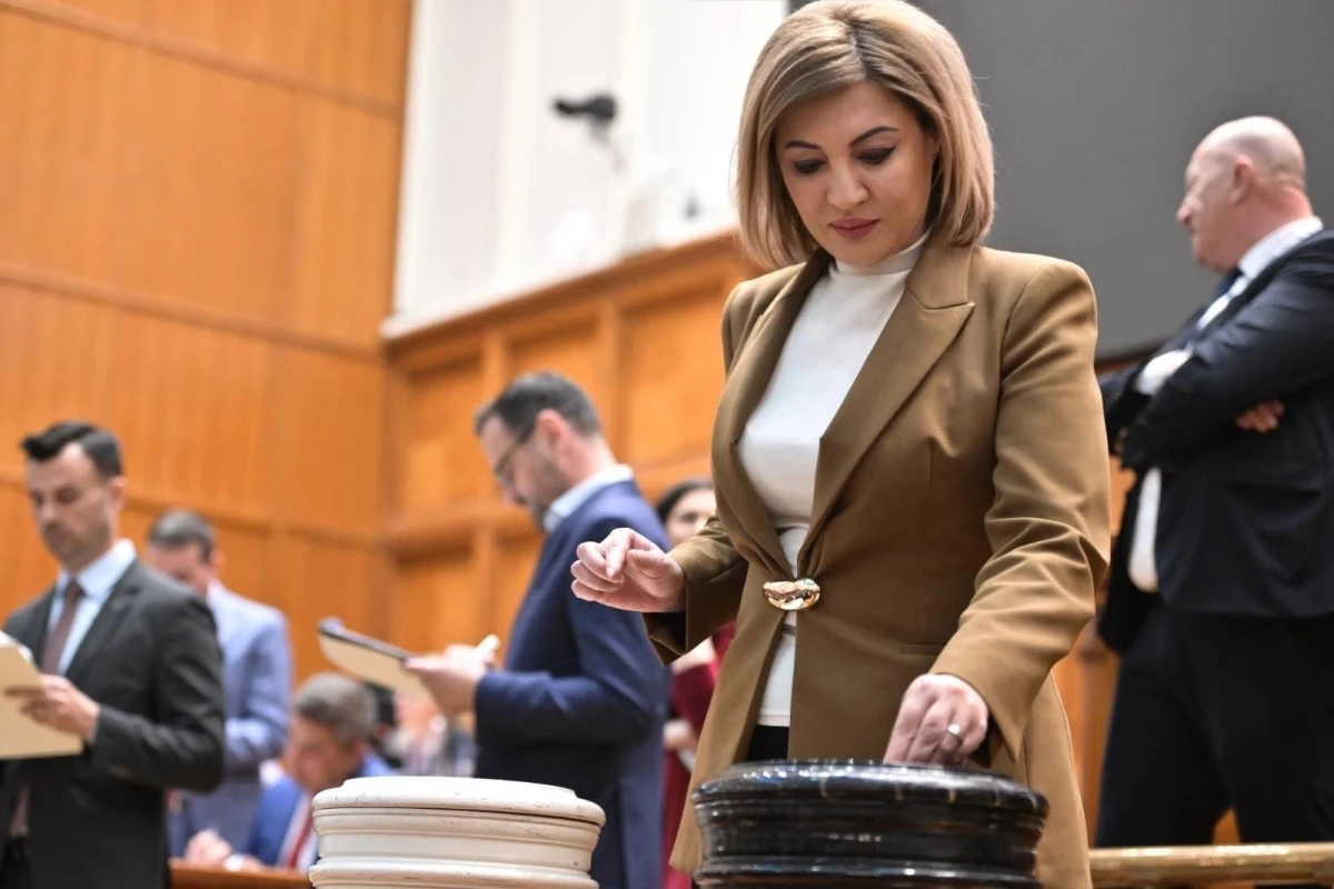 Alina Tănăsescu, parlamentar PSD, a demisionat din comisia de anchetă legată de zborul spre Mykonos, în urma dezvăluirilor G4Media / Senatoarea a călătorit și ea cu un avion privat Toyo Aviation