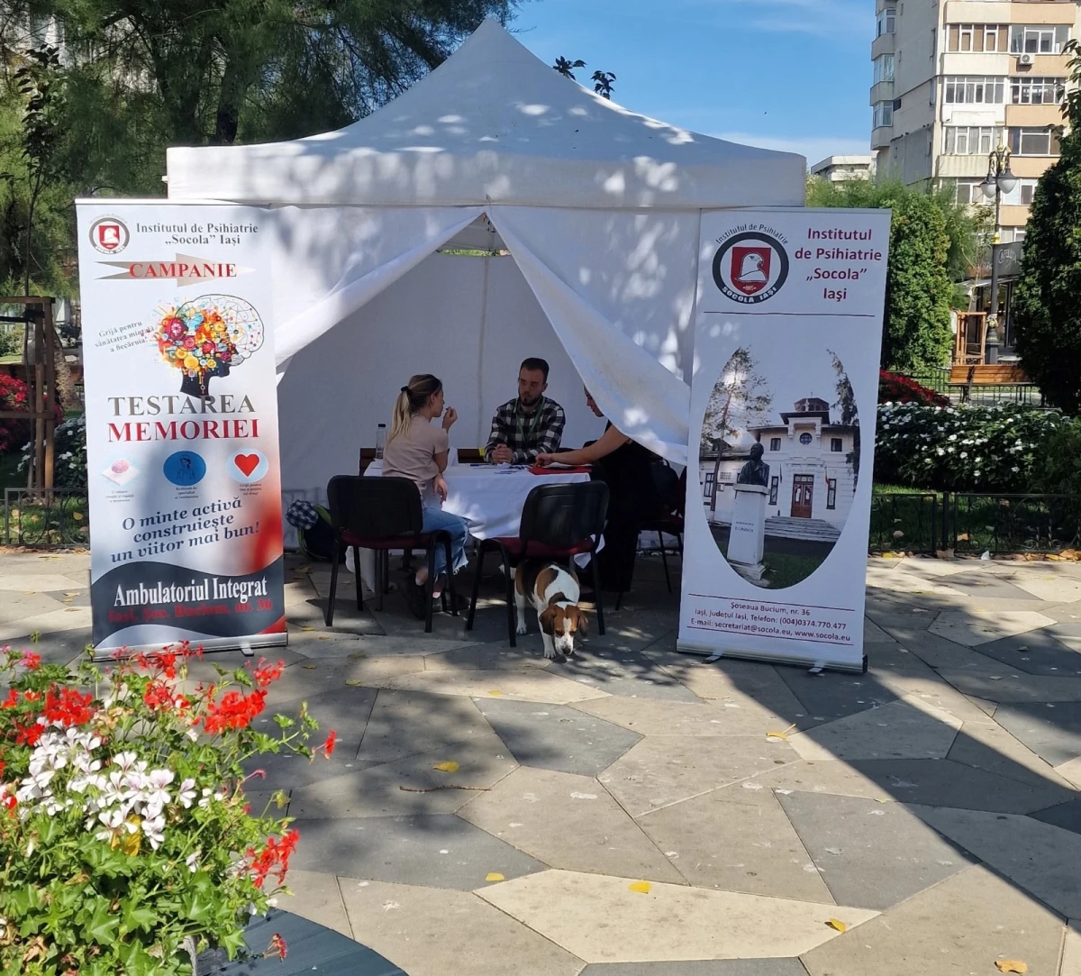 Câteva sute ieșeni și-au testat memoria, campanie a Institutului ”Socola”: Aproape 43% au prezentat tulburări cognitive ușoare / La 15% au fost identificate tulburări de memorie