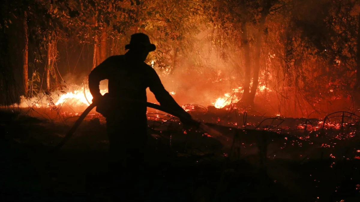 El Niño-driven heat could cause half a million extra deaths, report says. Here's where