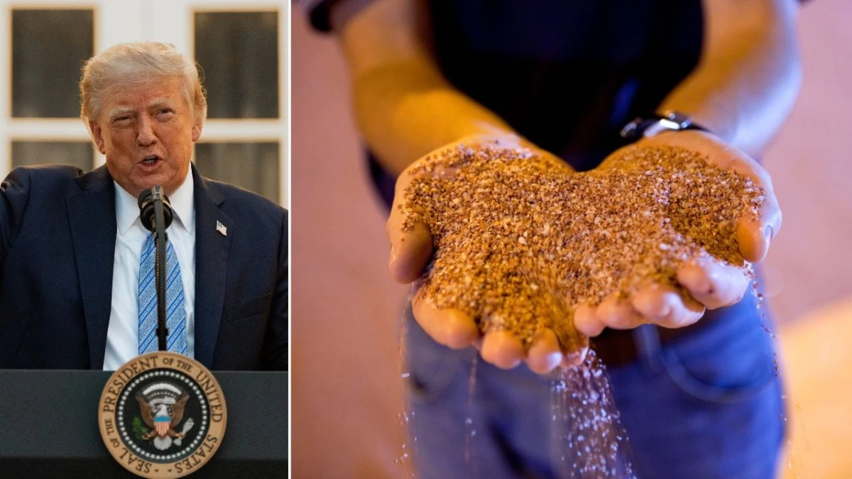 Fact check: Could Trump replace Canada's potash with Belarus?