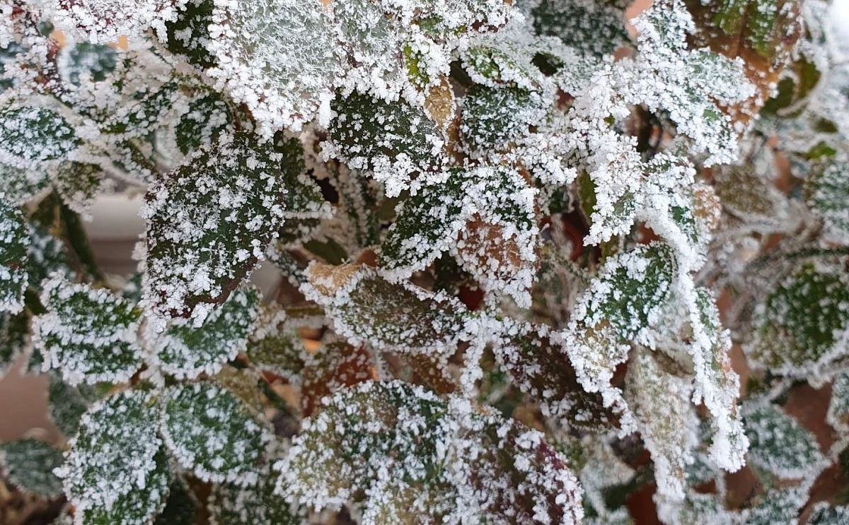 Minus 3,7 grade Celsius la Miercurea-Ciuc / E pentru a doua oară în această toamnă când se înregistrează valori negative în Harghita
