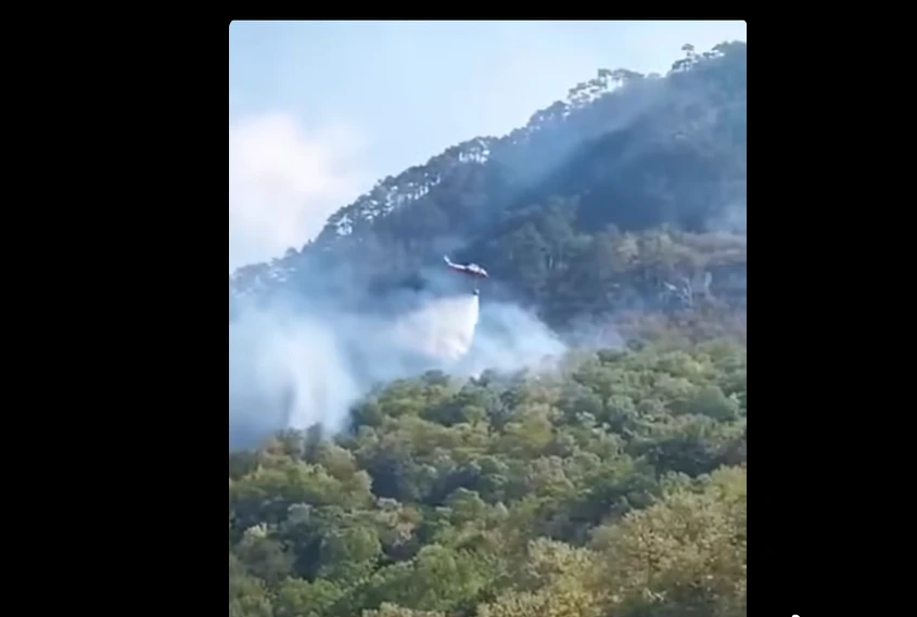 Agent Green, după mobilizarea a două elicoptere Black Hawk la incendiul din Domogled: „Dacă această mobilizare este posibilă în ziua 51, de ce nu a fost posibilă în ziua 10, 20 sau 30?” / Gabriel Păun cere sprijin european suplimentar