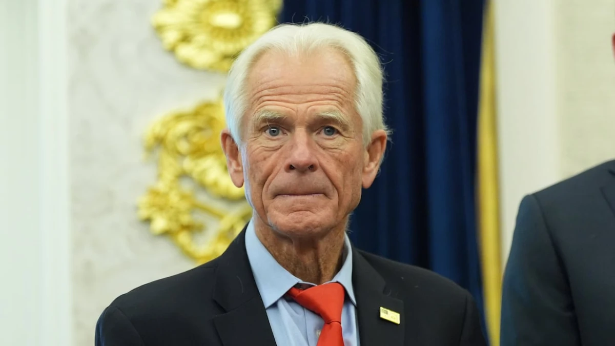 Trump trade adviser says Canada will 'pay even more dearly' if 'you interfere' in U.S. midterms