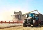 Blocarea exporturilor de grâu în Marea Neagră, pe fondul războiului din Ucraina, duce la creșterea prețurilor globale