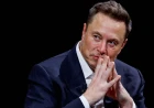 TikTok, X reportedly barring ads for documentary about Elon Musk