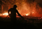 El Niño-driven heat could cause half a million extra deaths, report says. Here's where