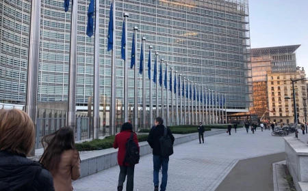 11 țări solicită suspendarea adoptării de noi legi la nivelul UE timp de un an