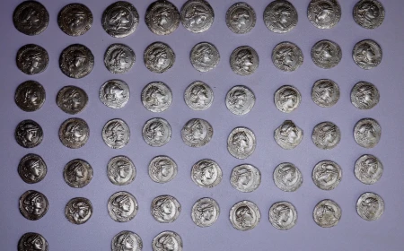 Tezaur din vremea Imperiului Roman, descoperit cu un detector de metale pe un câmp din Germania / 934 de monede de argint, unele cu o vechime de 2.000 de ani