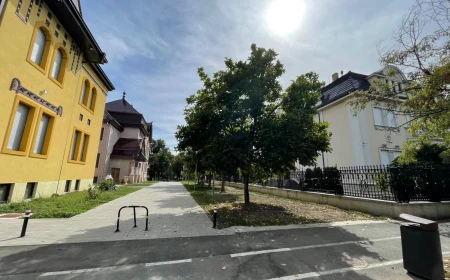 Primăria Timișoara câștigă procesul pentru strada Cezar. Cei care i-au spus lui Dominic Fritz „Stai în banca ta, sunt alții mai mari ca tine” pierd în instanță