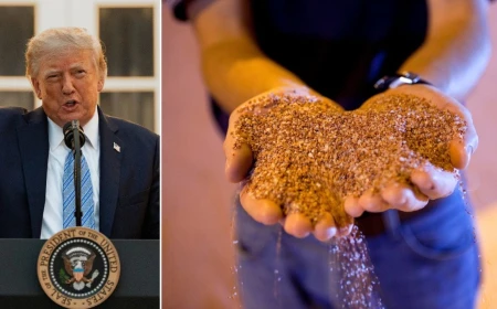 Fact check: Could Trump replace Canada's potash with Belarus?