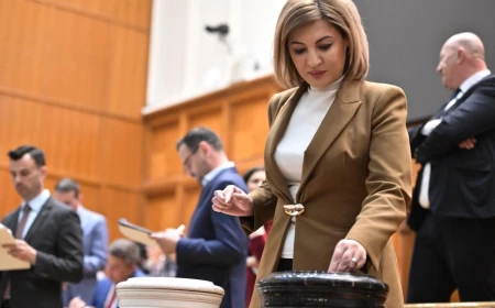 Alina Tănăsescu, parlamentar PSD, a demisionat din comisia de anchetă legată de zborul spre Mykonos, în urma dezvăluirilor G4Media / Senatoarea a călătorit și ea cu un avion privat Toyo Aviation