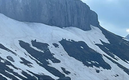 Sunt așteptate ninsori la munte, de luni / Temperaturile scad cu până la 12 grade / Cod galben de vânt în 13 județe 