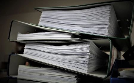 Gradul de preluare a dosarelor în ziua înregistrării – 97,6% la Curţile de apel, 88,3% la Tribunale şi 94,3% la Judecătorii, după primele șapte zile de aplicare a procedurii