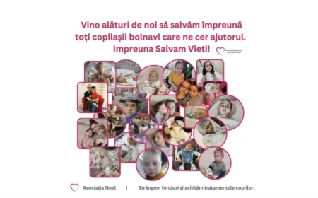 Percheziții la Asociația pentru micuțul Noel din Bihor, cunoscută în zonă pentru campanii umanitare / Prejudiciul investigat, 5 milioane de euro