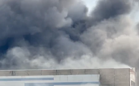 VIDEO Incendiu la o fabrică de celuloză din municipiul Drobeta-Turnu Severin / Focul se manifestă pe aproximativ 20.000 de metri pătrați / Autoritățile au emis mesaj Ro-Alert