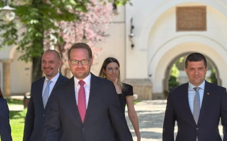 USR îi propune pe Radu Miruță, Diana Buzoianu, Oana Țoiu, Cătălin Drulă și Irineu Darău pentru posturile de miniștri în Guvernul Mureșan / Andrea Chiș, susținută la Justiție și de USR