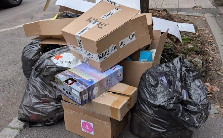 Primăria Sectorului 5 îi roagă pe cetățeni să nu mai arunce gunoiul pe străzi / Primar: ”E sat fără câini. Fiecare aruncă după bunul plac. Poliția locală o să doarmă pe străzi” / „Haideți, oameni buni, să ne mai educăm, că suntem în 2026”