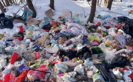 Uniunea Europeană generează anual peste 58 de milioane de tone de deşeuri alimentare, potrivit datelor Eurostat / Mai mult de jumătate din această cantitate provine din gospodării
