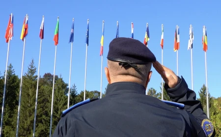 Exercițiu de amploare în România: peste 500 de militari și jandarmi din 19 țări participă la simulări în patru județe